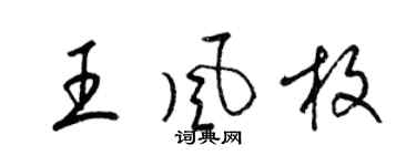 梁錦英王風枚草書個性簽名怎么寫