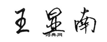 駱恆光王顯南行書個性簽名怎么寫