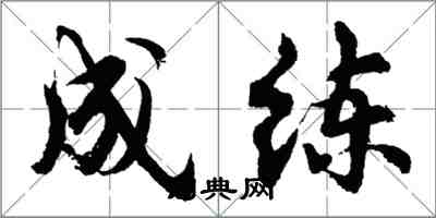 胡問遂成練行書怎么寫