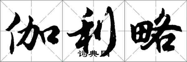 胡問遂伽利略行書怎么寫