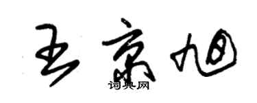 朱錫榮王京旭草書個性簽名怎么寫