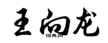 胡問遂王向龍行書個性簽名怎么寫