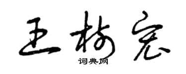 曾慶福王樹宏草書個性簽名怎么寫