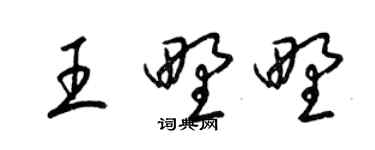 梁錦英王野野草書個性簽名怎么寫