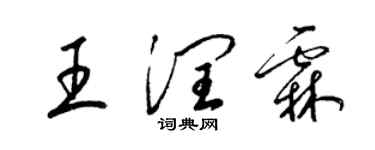 梁錦英王潤霖草書個性簽名怎么寫