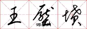 梁錦英王壓墳草書怎么寫