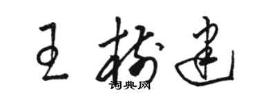 駱恆光王樹建草書個性簽名怎么寫