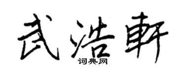王正良武浩軒行書個性簽名怎么寫
