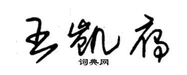 朱錫榮王凱雁草書個性簽名怎么寫