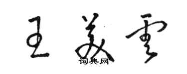 駱恆光王美雲草書個性簽名怎么寫