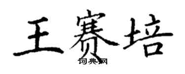 丁謙王賽培楷書個性簽名怎么寫