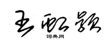 朱錫榮王虹穎草書個性簽名怎么寫