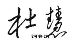 駱恆光杜慧草書個性簽名怎么寫