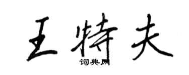 王正良王特夫行書個性簽名怎么寫
