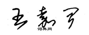 朱錫榮王嘉聞草書個性簽名怎么寫