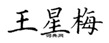 丁謙王星梅楷書個性簽名怎么寫