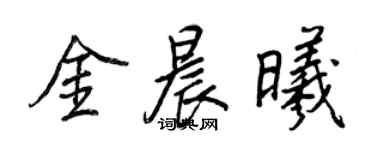王正良金晨曦行書個性簽名怎么寫