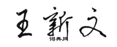 駱恆光王新文行書個性簽名怎么寫
