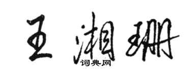 駱恆光王湘珊行書個性簽名怎么寫