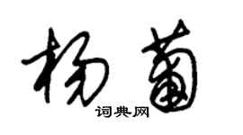 朱錫榮楊葡草書個性簽名怎么寫