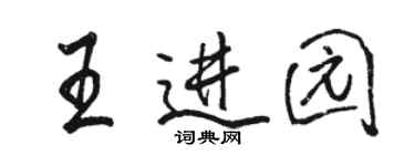 駱恆光王進園行書個性簽名怎么寫