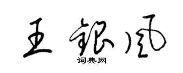 梁錦英王銀風草書個性簽名怎么寫