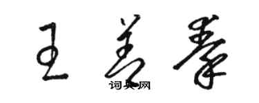 駱恆光王善秦草書個性簽名怎么寫