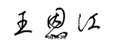 梁錦英王恩江草書個性簽名怎么寫