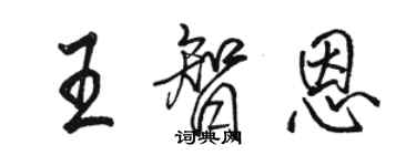 駱恆光王智恩行書個性簽名怎么寫