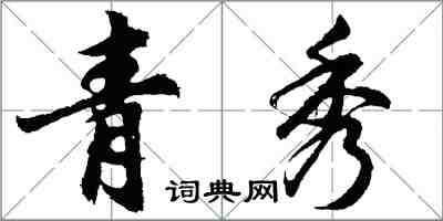 胡問遂青秀行書怎么寫