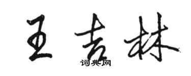 駱恆光王吉林行書個性簽名怎么寫