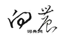 駱恆光向農草書個性簽名怎么寫