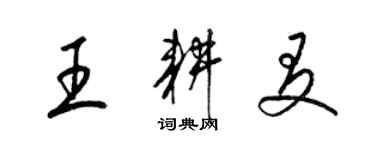 梁錦英王耕友草書個性簽名怎么寫