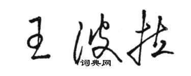 駱恆光王波拉草書個性簽名怎么寫