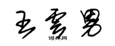 朱錫榮王雲男草書個性簽名怎么寫