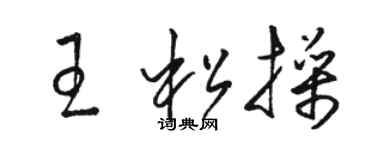 駱恆光王松操草書個性簽名怎么寫