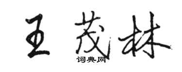 駱恆光王茂林行書個性簽名怎么寫