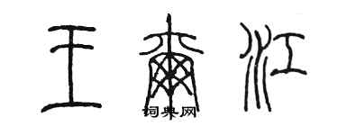 陳墨王爾江篆書個性簽名怎么寫