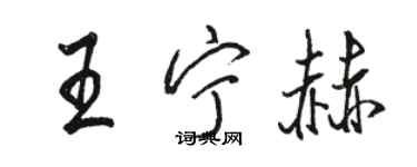 駱恆光王寧赫行書個性簽名怎么寫