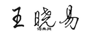 駱恆光王曉易行書個性簽名怎么寫