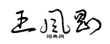 曾慶福王風剛草書個性簽名怎么寫