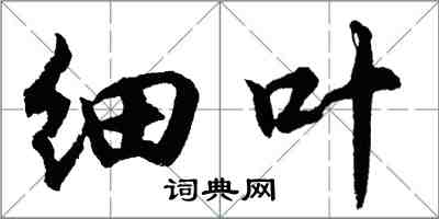 胡問遂細葉行書怎么寫