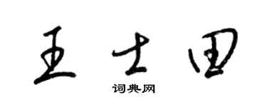 梁錦英王士田草書個性簽名怎么寫