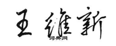 駱恆光王維新行書個性簽名怎么寫