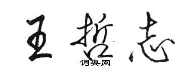 駱恆光王哲志行書個性簽名怎么寫