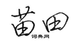 駱恆光苗田行書個性簽名怎么寫