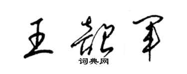 梁錦英王韶軍草書個性簽名怎么寫