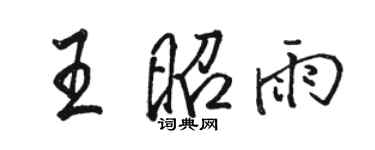 駱恆光王昭雨行書個性簽名怎么寫