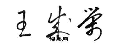 駱恆光王成榮草書個性簽名怎么寫