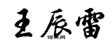 胡問遂王辰雷行書個性簽名怎么寫